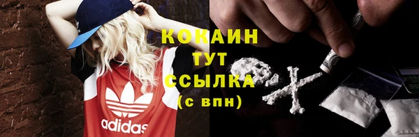 дмт Нея