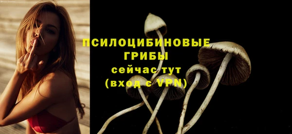дмт Нея