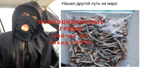 дмт Нея