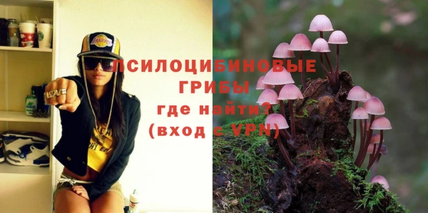 дмт Нея