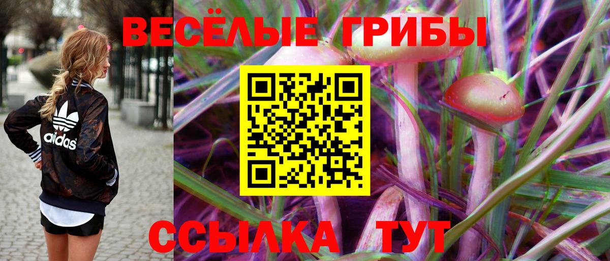 Галлюциногенные грибы прущие грибы Ярославль
