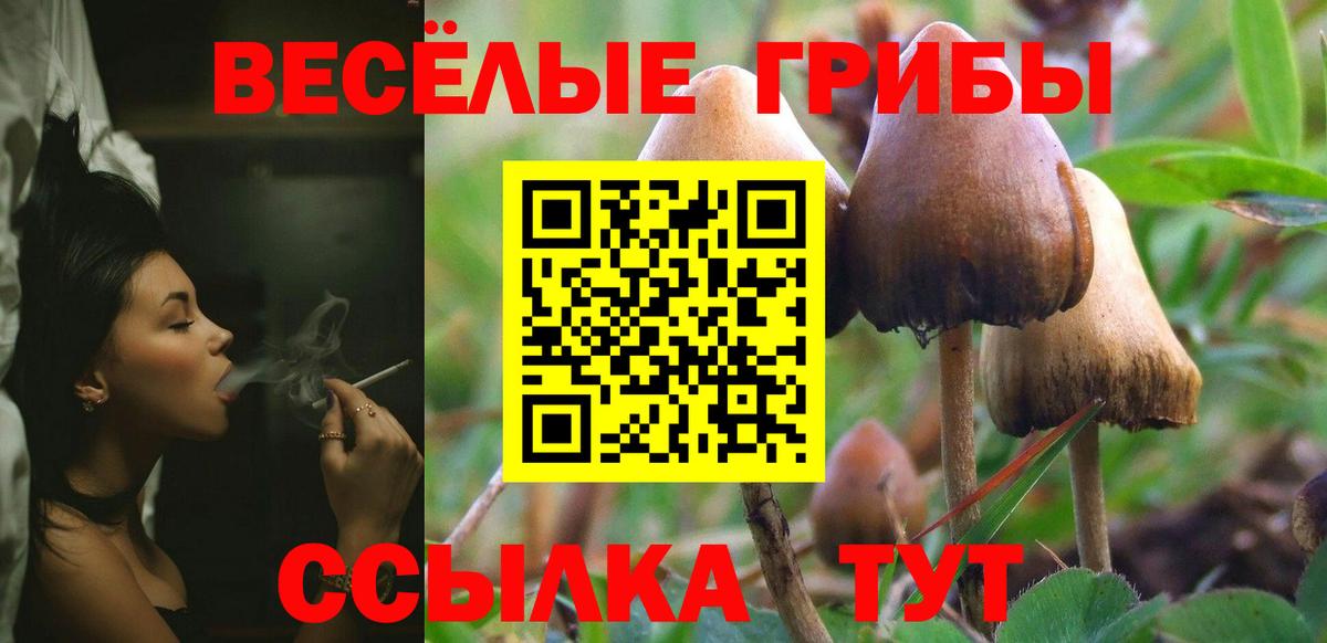 Псилоцибиновые грибы Psilocybine cubensis  Вход с VPN  Ярославль 