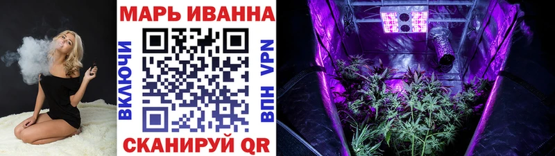 Бошки Шишки план Ярославль