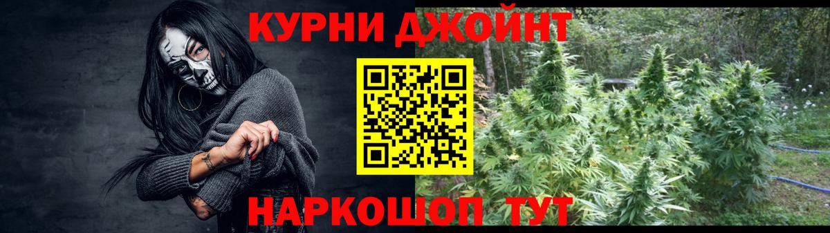 Бошки марихуана Bruce Banner  Канабис план  Ярославль  Конопля VHQ  Шишки марихуана конопля  Вход с VPN 
